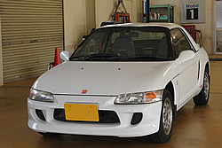BEAT HARD TOP